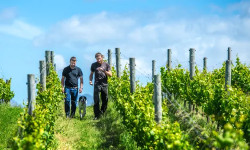 C - Henri-Bourgeois- wide- 6_Edit.jpg