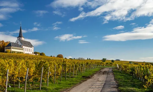 H - Domdechant Werner - wide - 4_Edit.jpg