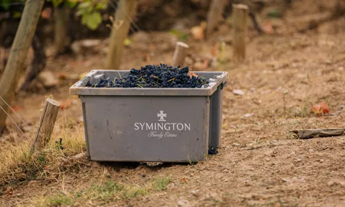 H - Prats & Symington - wide - 6_Edit.jpg