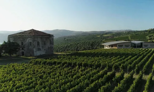 H - Paternoster - wide - 5_Edit.jpg