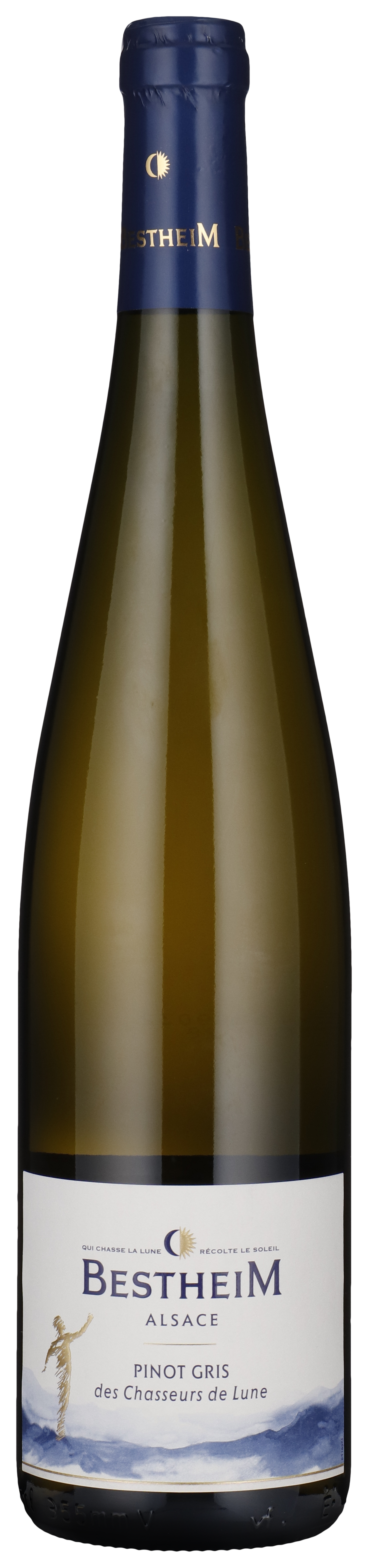 Pinot Gris - Classic 2022