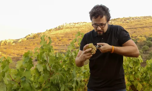 H - Bodegas_frontonio - Wide - 5_Edit.jpg