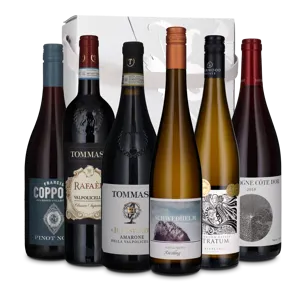 Syre i vin (6 flasker)