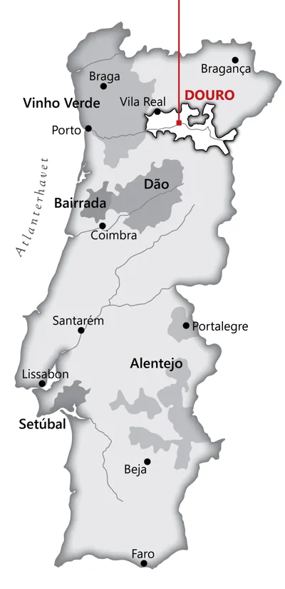 Fra <a href="/sog/?q=Douro">douro</a> området i <a href="/sog/?q=portugal">Portugal</a>