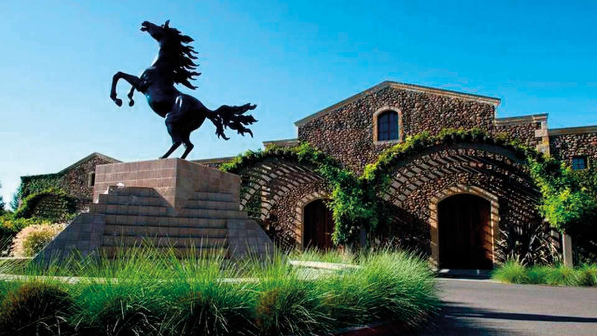 H - Black_Stallion - wide - 1_Edit.jpg