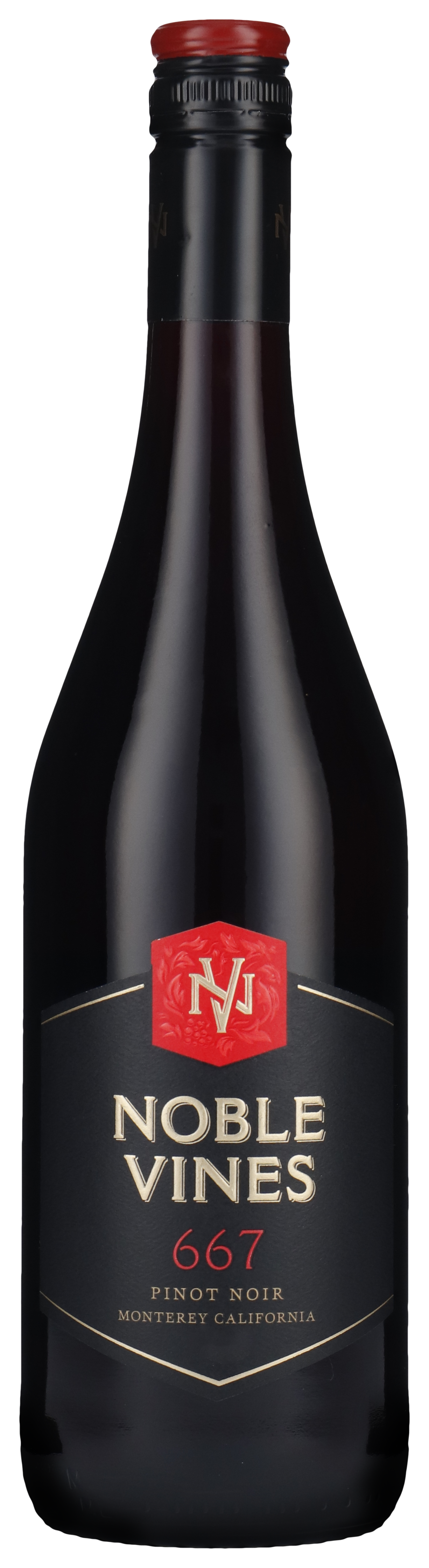 Pinot Noir - 667 2022
