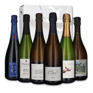 Champagne (6 flasker)