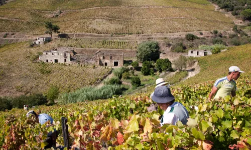 H - Esporao - wide - 1_Edit.jpg