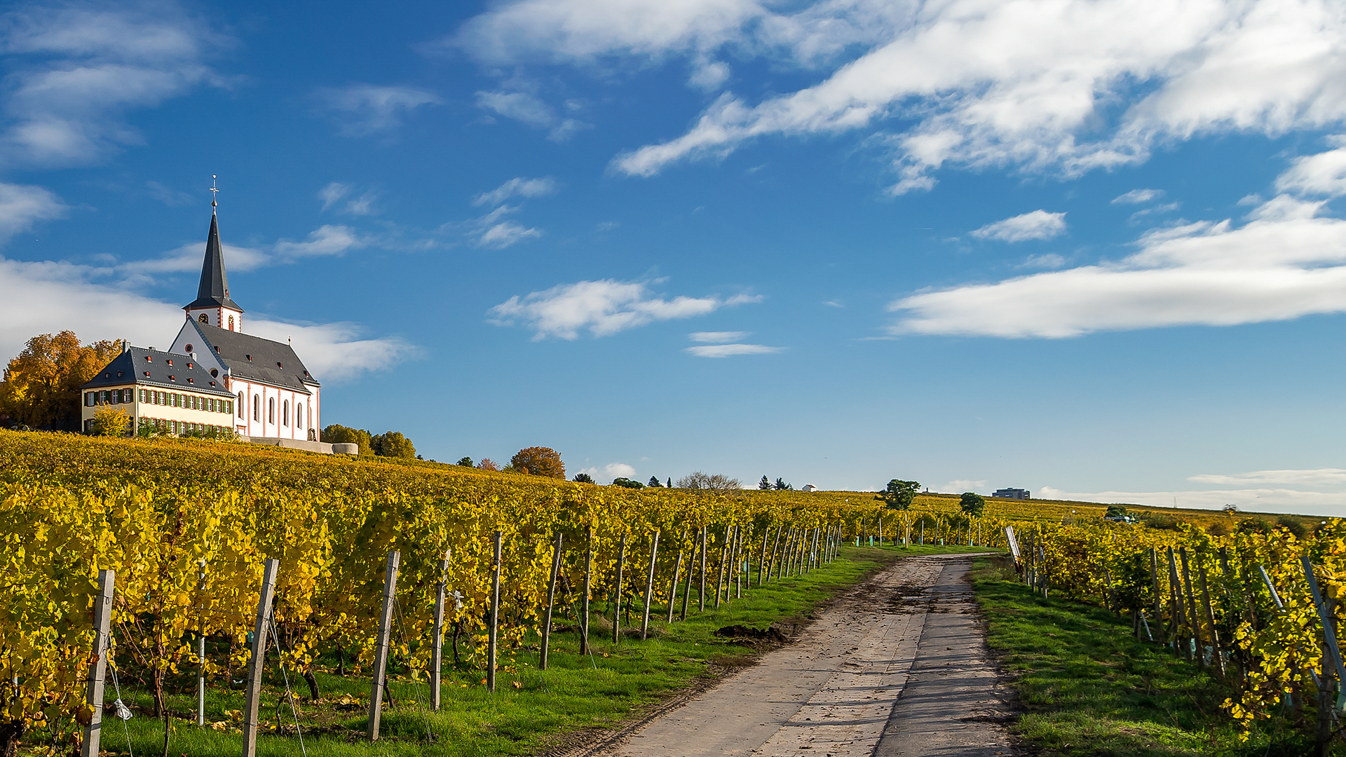 H - Domdechant Werner  - wide - 4_Edit.jpg