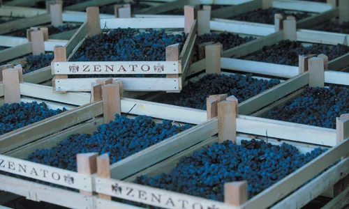 H - Zenato - wide - 6_Edit.jpg