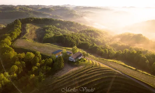 Jutro estate.jpg