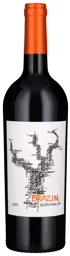 (B)Old Vine Zinfandel 2022