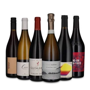 Vintrends (6 flasker)