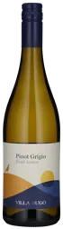 Pinot Grigio - Villa Dugo 2024