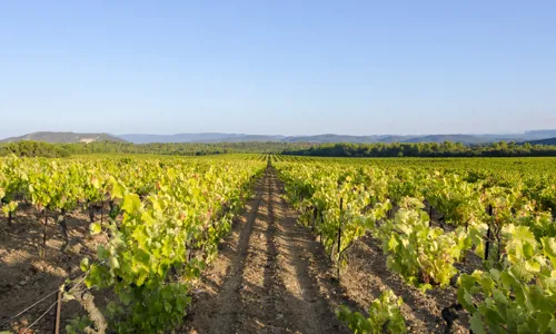 Maison Saint Aix - Winery 26.jpg