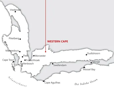 Fra <a href="/sog/?q=Western Cape">western cape</a> området i <a href="/sog/?q=sydafrika">Sydafrika</a>