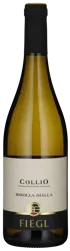 Ribolla Gialla - Collio 2024