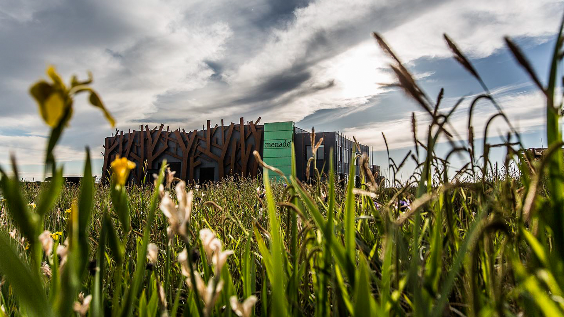 H - Menade - Wide - 5_Edit.jpg