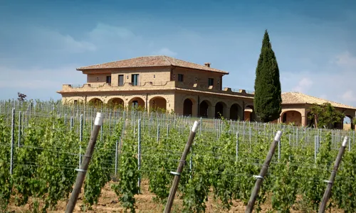 H - Poggio al Tufo - wide - 2_Edit.jpg