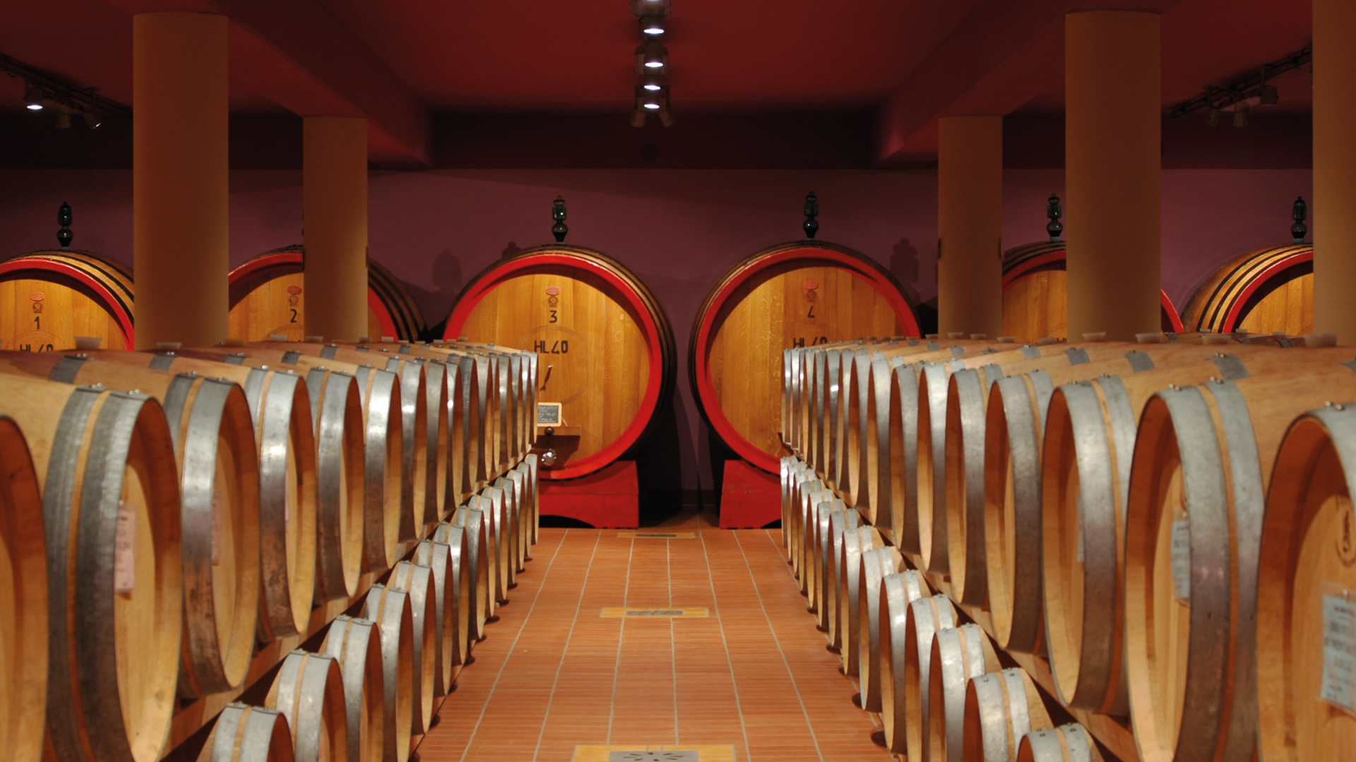 H - VERBENA 036_Edit.jpg