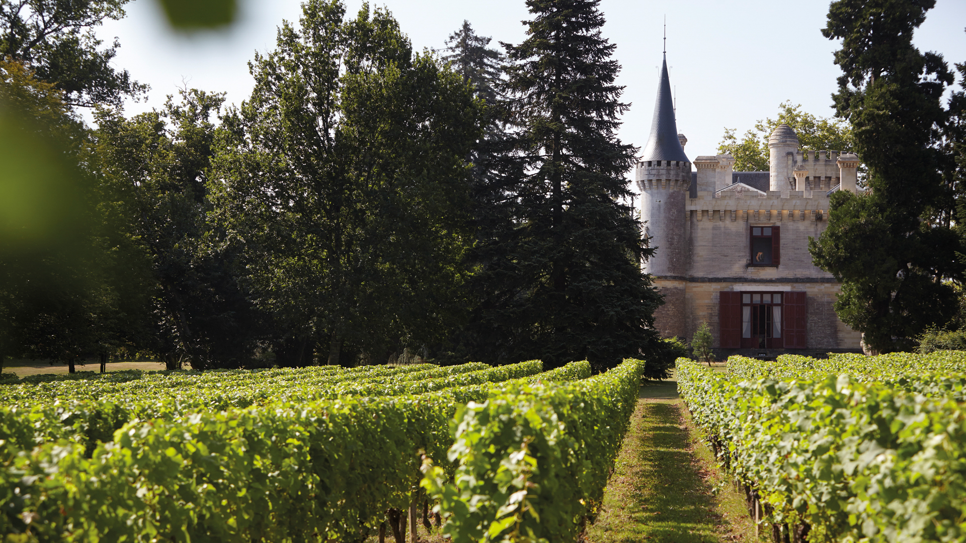 H - Chateau - de - Ricaud - wide - 3_Edit_Edit.jpg