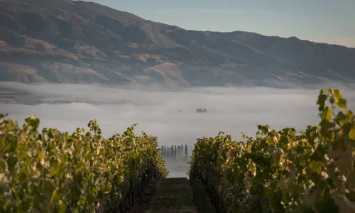 H - Prophets Rock - wide - 2_Edit.jpg