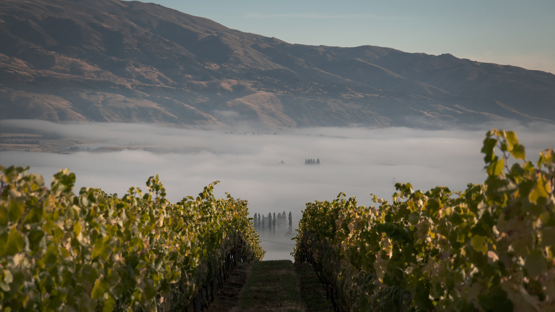 H - Prophets Rock - wide - 2_Edit.jpg