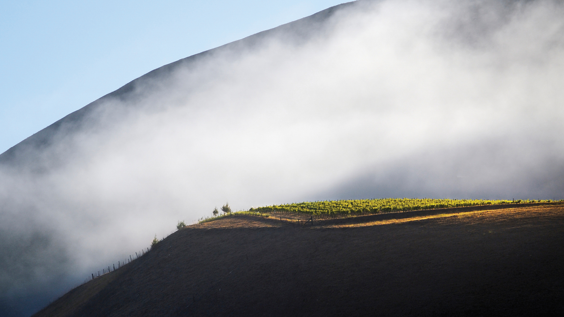 H - BienNacidoVyd-Hill-onTopinFog print_Edit.jpg