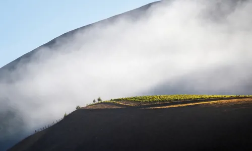 H - BienNacidoVyd-Hill-onTopinFog print_Edit.jpg