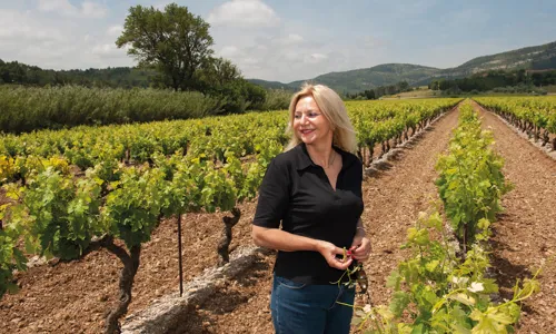 H - domaine auriol_claude vialade 0064_Edit.jpg