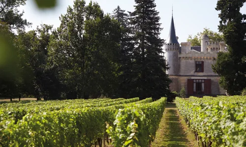 H - Chateau - de - Ricaud - wide - 3_Edit_Edit.jpg