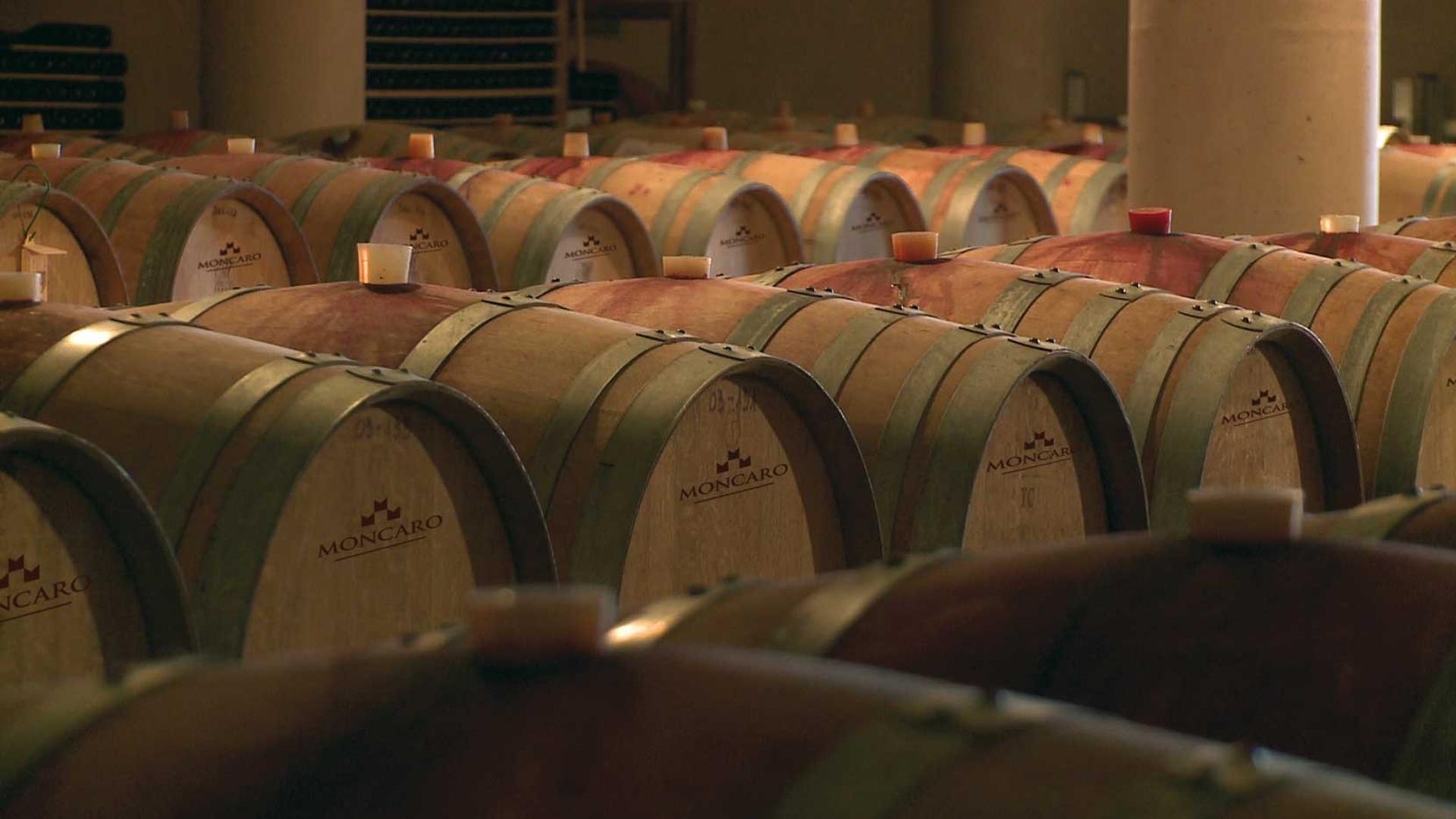 H - 1551437477518_Edit.jpg