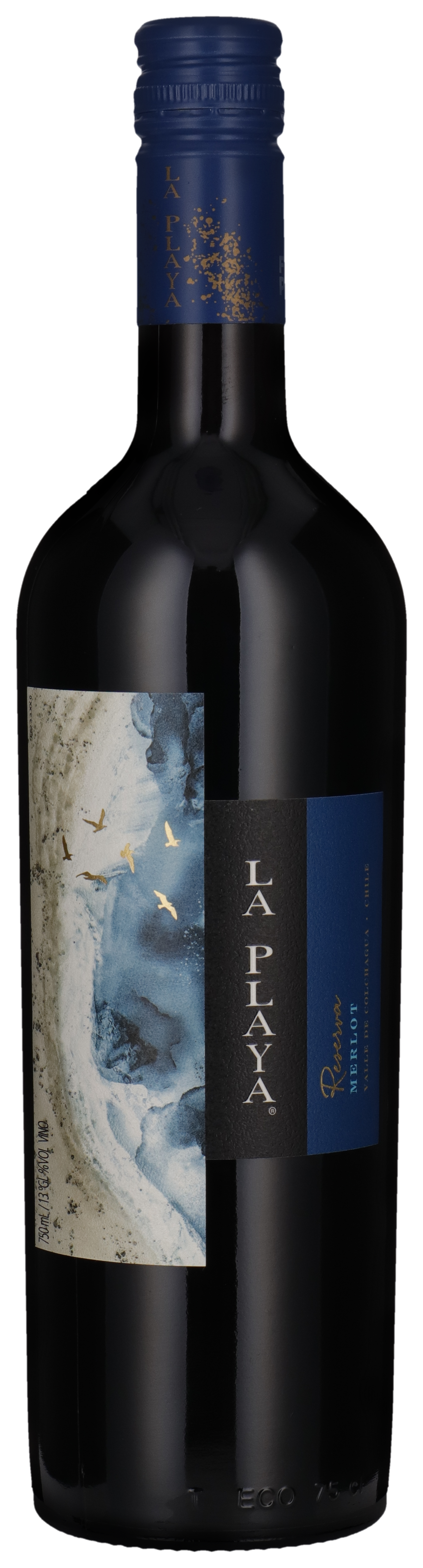 Merlot - Reserva 2023