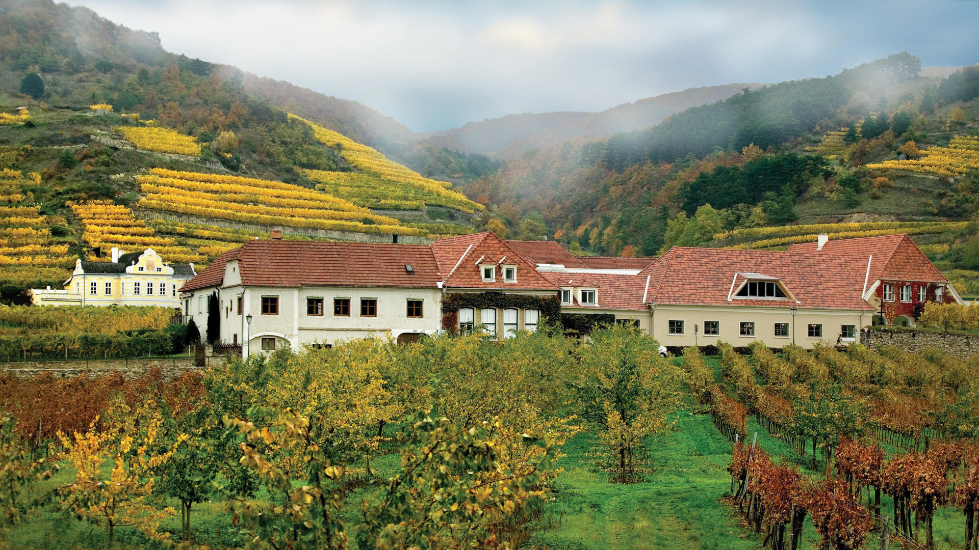 H - Domaine_Wachau - wide - 1_Edit.jpg