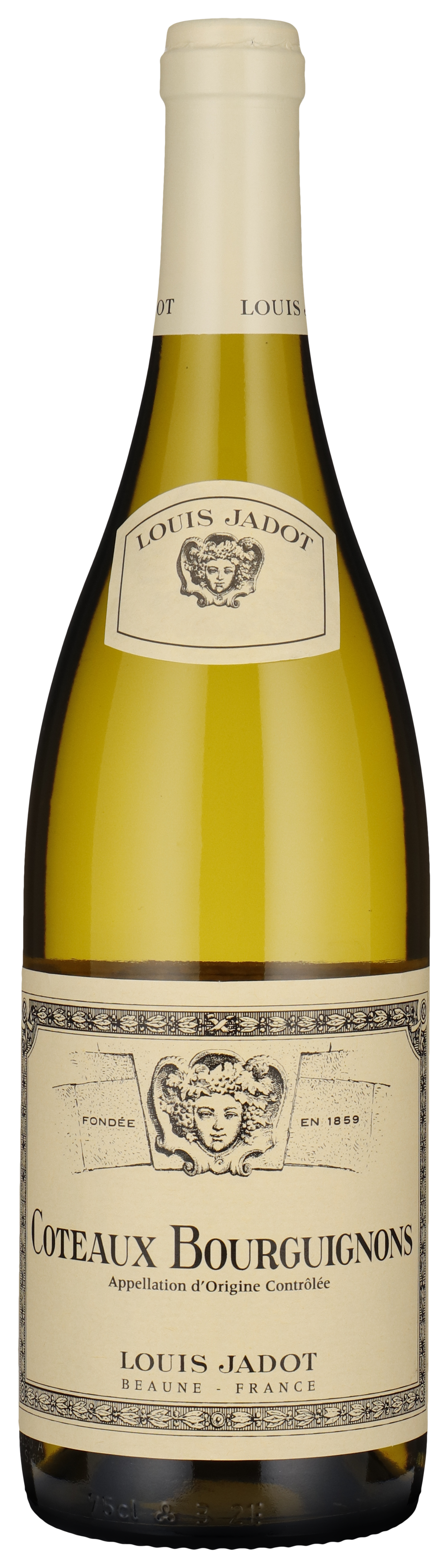 Coteaux Bourguignons Blanc 2024