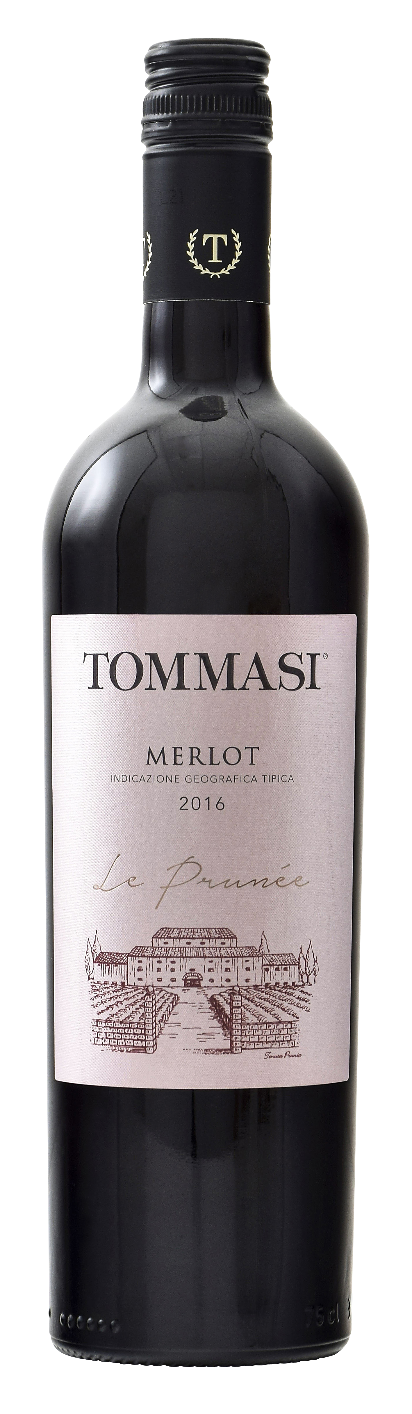Merlot - Le Prunée 2021