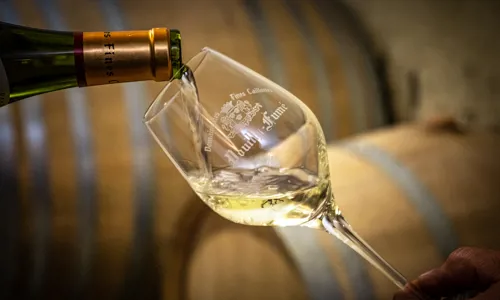 H - Jean-Pabiot-wide- 5_Edit.jpg