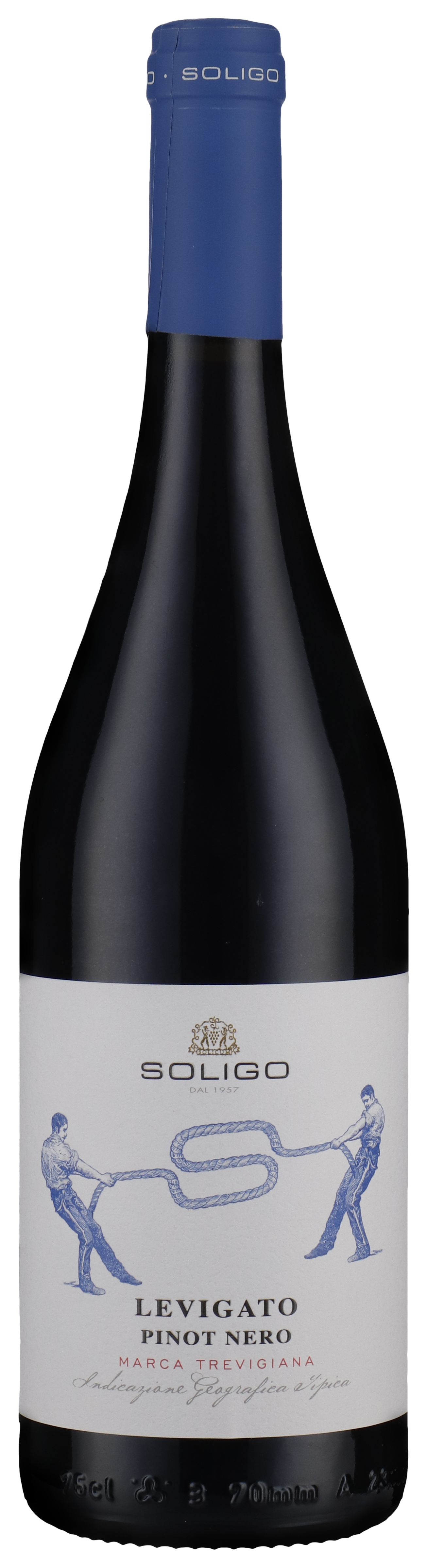 Pinot Noir, Levigato 2024