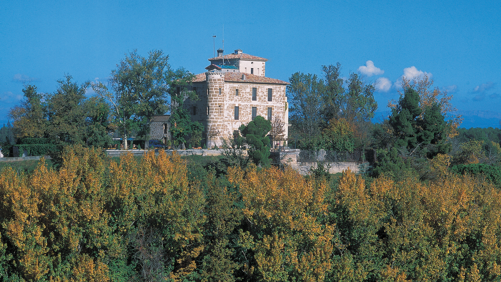 H - Raimat - wide - 2_Edit.jpg