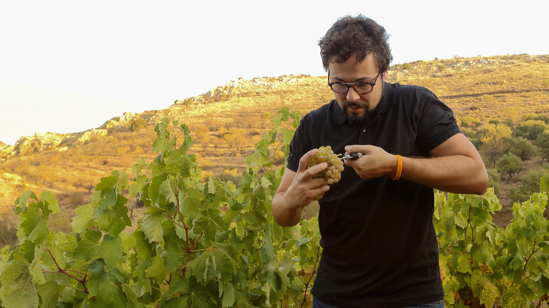 H - Bodegas_frontonio - Wide - 5_Edit.jpg