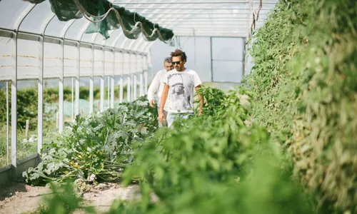 H - Enrico Rivetto - wide - 5_Edit.jpg