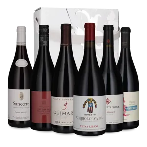 Alternativer til rød Bourgogne (6 flasker)