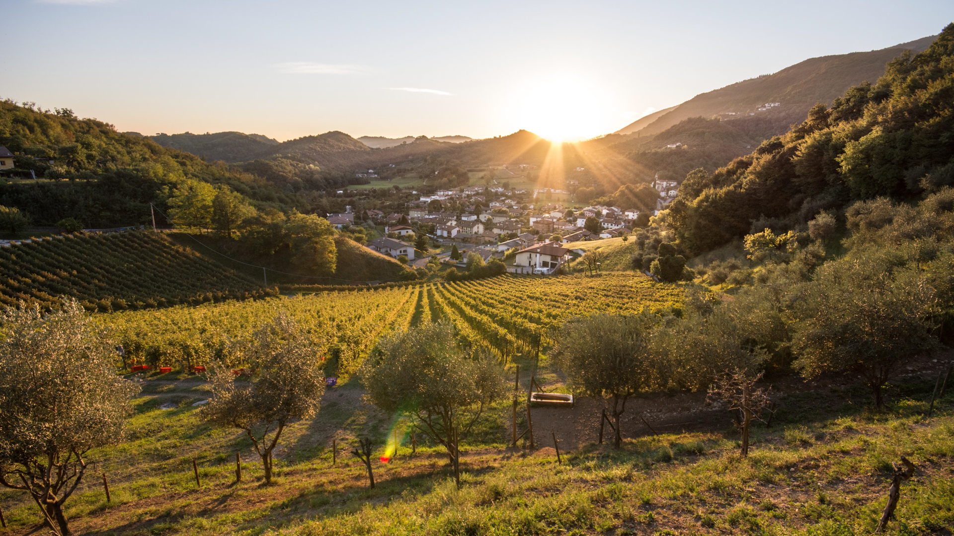 H - Vignaioli Contra Soarda - wide - 13_Edit.jpg