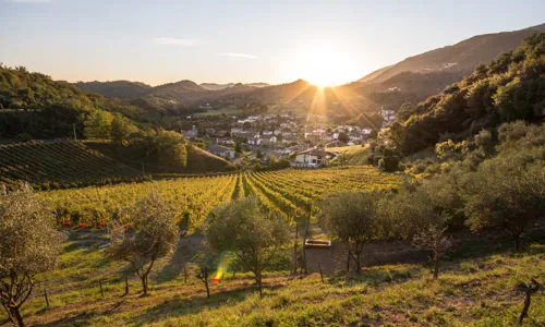 H - Vignaioli Contra Soarda - wide - 13_Edit.jpg