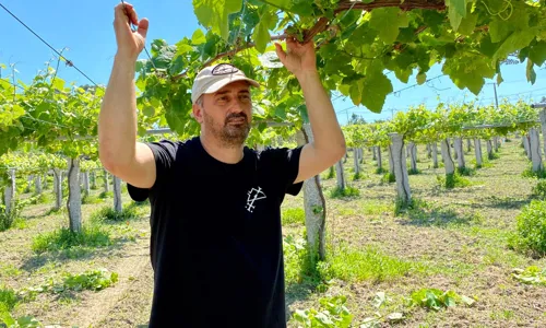 H - Rodrigo-Mendez-wide-4_Edit.jpg