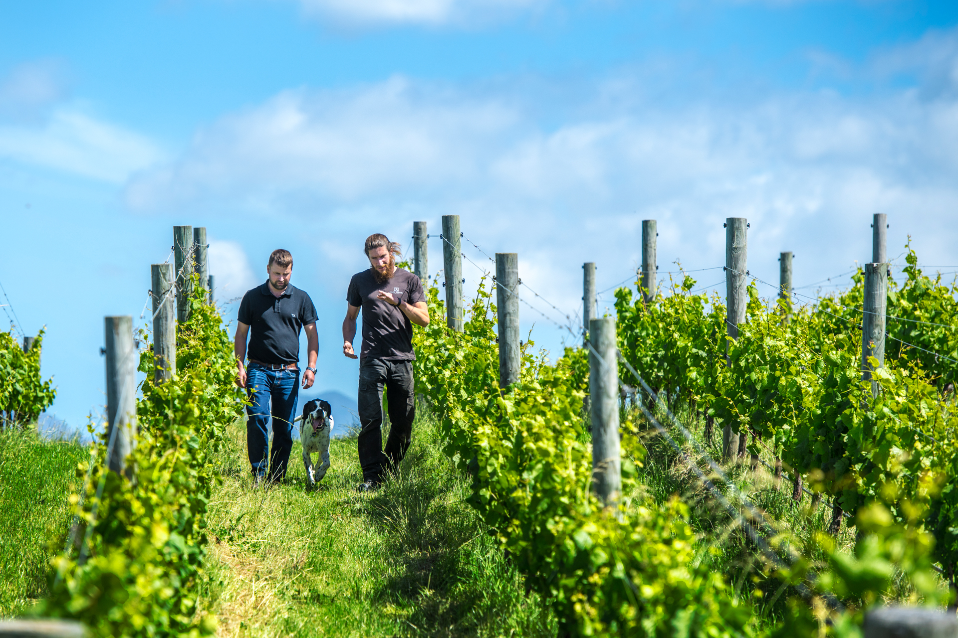 C - Henri-Bourgeois- wide- 6_Edit.jpg