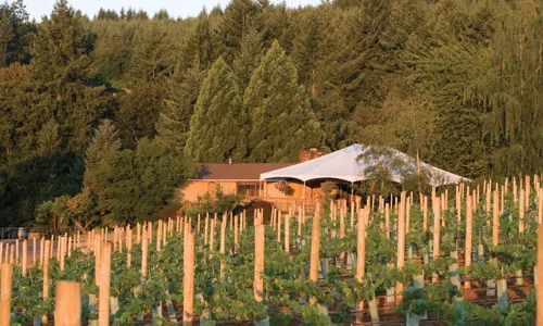 Erath - wide - 4.jpg