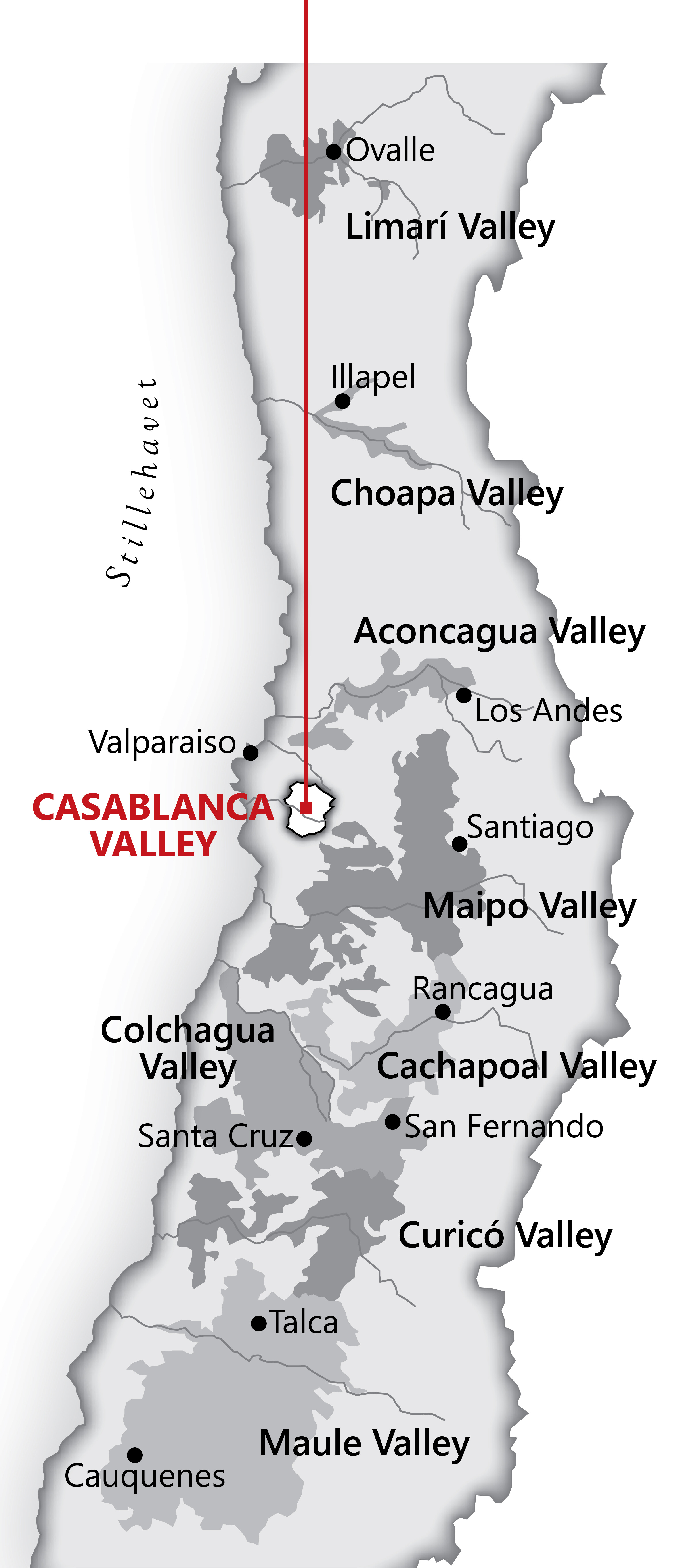 Fra <a href="/sog/?q=Casablanca Valley">casablanca valley</a> området i <a href="/sog/?q=chile">Chile</a>