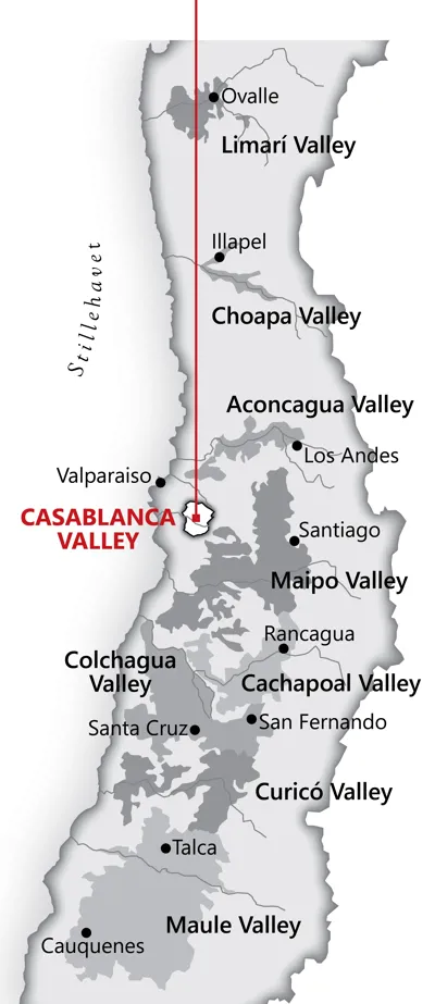 Fra <a href="/sog/?q=Casablanca Valley">casablanca valley</a> området i <a href="/sog/?q=chile">Chile</a>