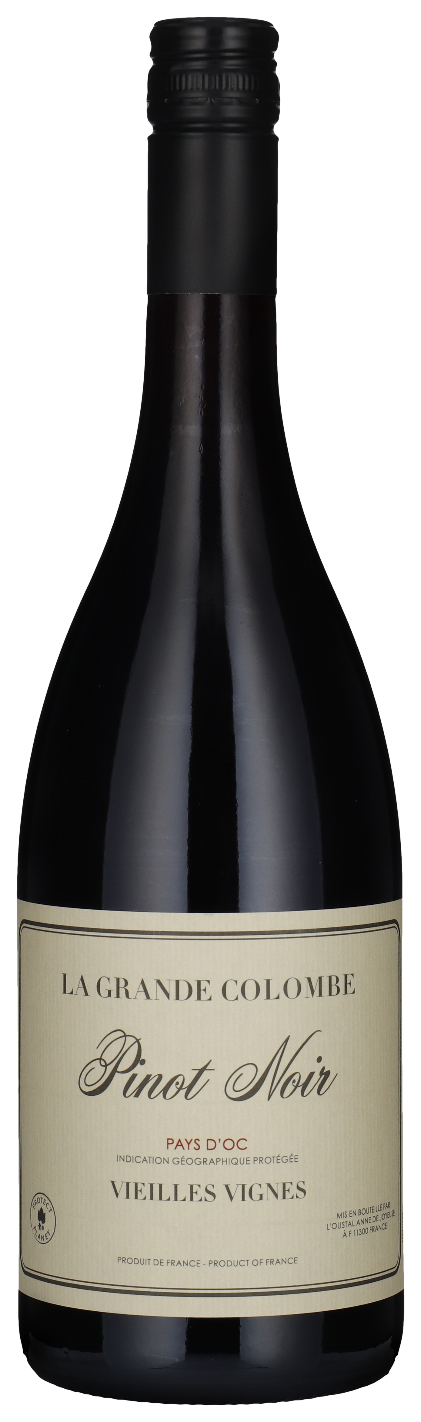 Pinot Noir - Vieilles Vignes 2024